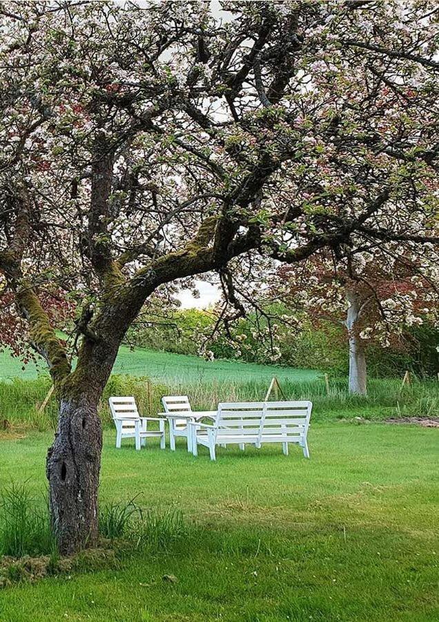 Minnesberg Bed & Breakfast トレレボリ エクステリア 写真